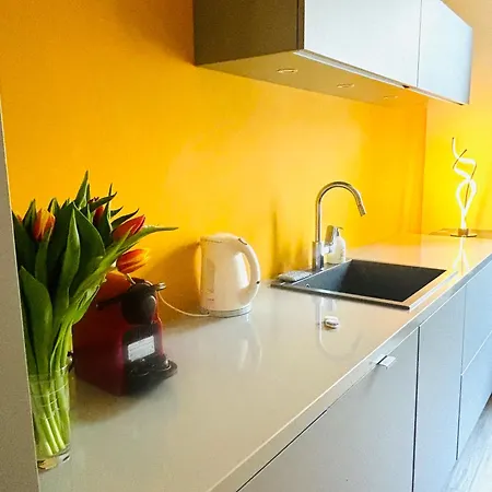 Bonaparte - Apartment